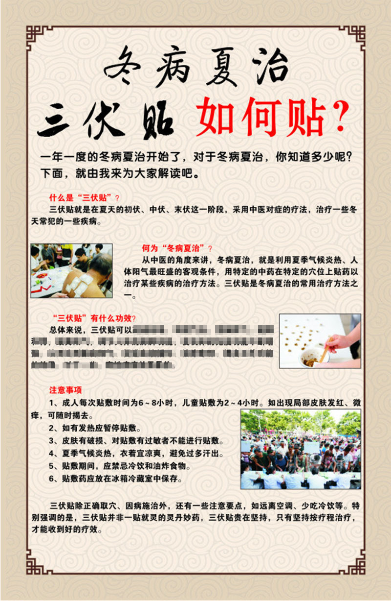 正品帅之艾三伏贴 艾草三伏贴 艾灸贴艾叶贴批发 穴位发热贴oem