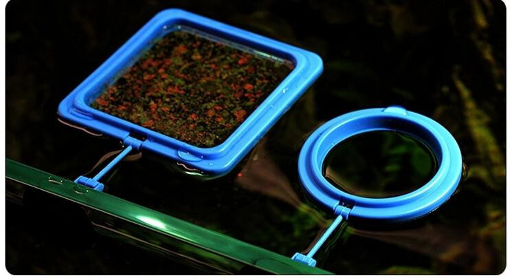水族鱼缸喂食圈水族馆热带鱼投食喂食器观赏喂鱼鱼缸双层喂食圈