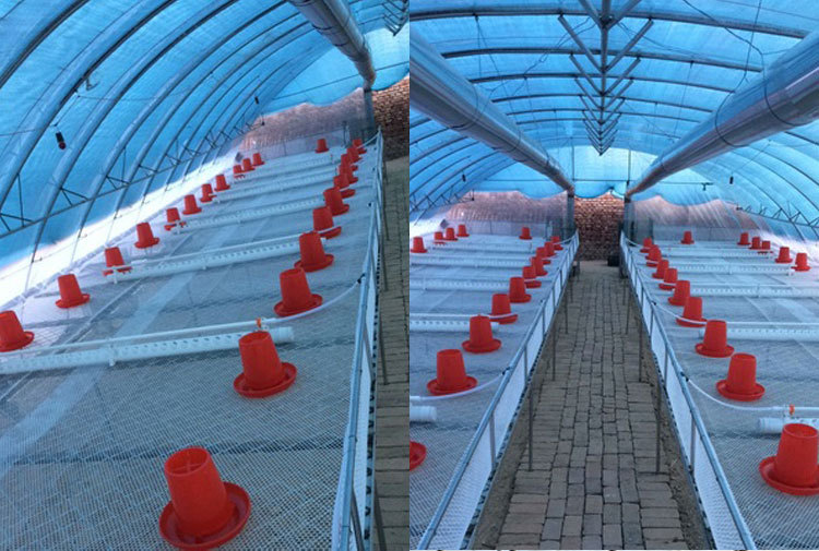 自动饮水槽养殖鸡用饮水器鸡鸭鹅自动喂水器厂家直销