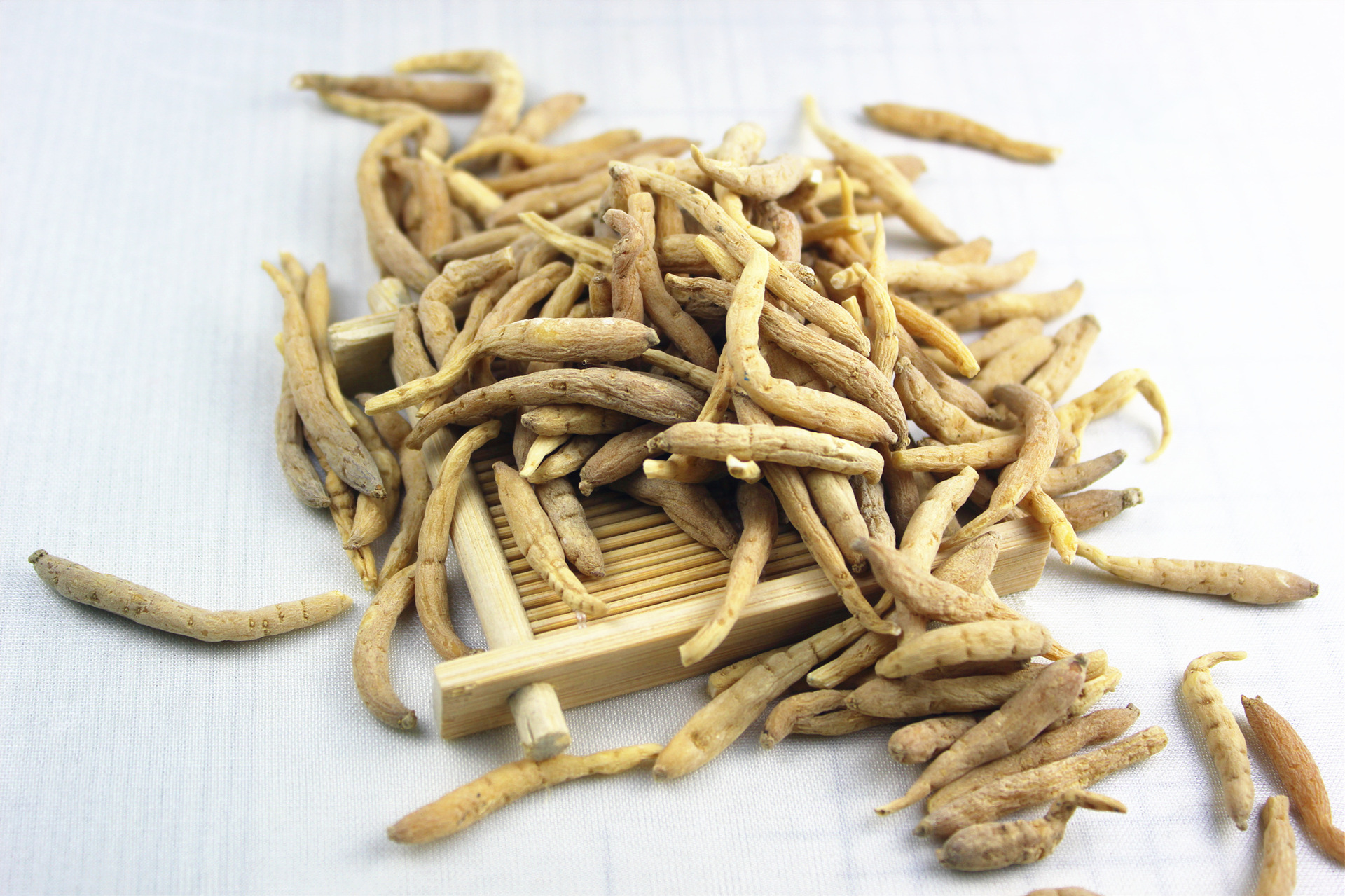 太子参批发柘荣太子参贵州童参统货选货煲汤福建孩儿参产地直销