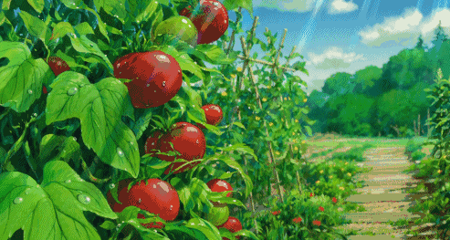 漫画里的夏天,你向往吗?