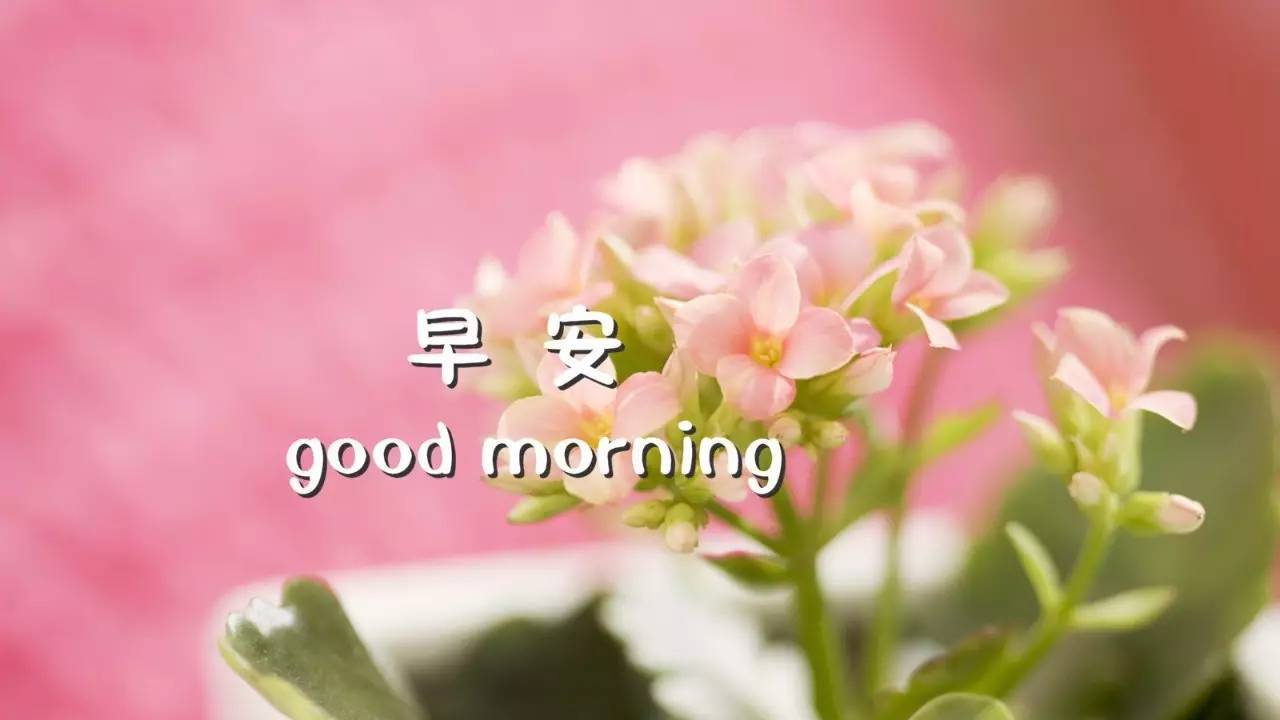 唯美月亮图片大全壁纸 zol桌面壁纸
