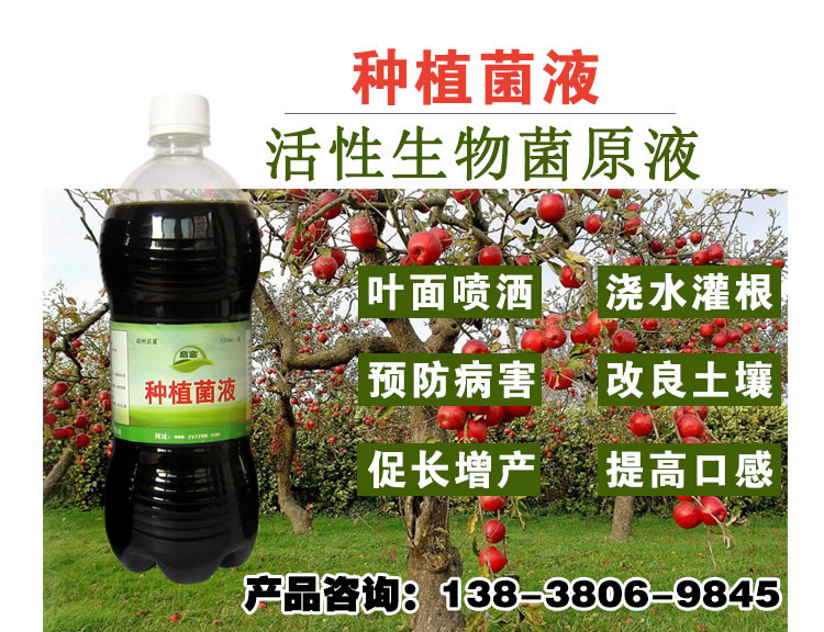 苹果跟癌症专用益生菌使用方法