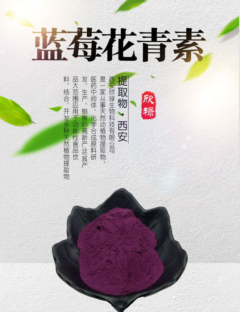蓝莓冻干粉 蓝莓提取物 蓝莓果粉 花青素25% 现货供应 质量保证