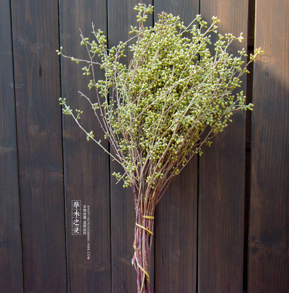 小米果干树枝倒挂天然植物干花自然风格店面家居装饰墙面装饰