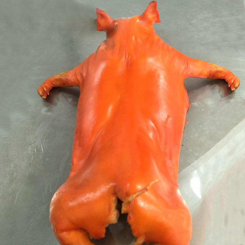 烤乳猪冻乳猪冷冻品乳猪鲜冻乳猪全年厂家批发酒店商场直供