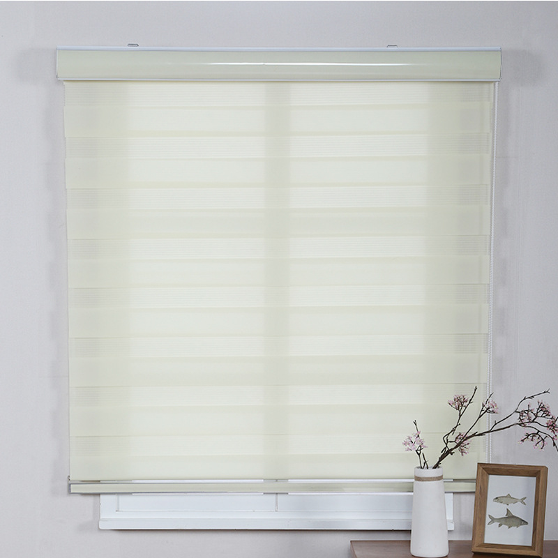 Foreign Trade Export Shutter Office Curtain Shading Lifting Louver Curtain Soft Gauze Curtain Double Roller Blind