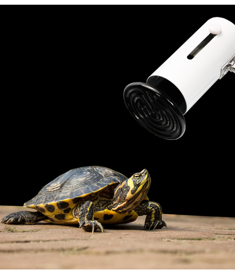 陶瓷加热灯爬虫灯饲养箱爬宠用品宠物加温灯保温灯灯泡乌龟晒背灯