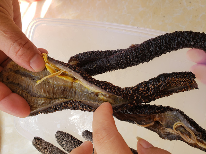 阿里巴巴泡发干海参 花蛇参 大号海参干货 海鲜海产品 500g