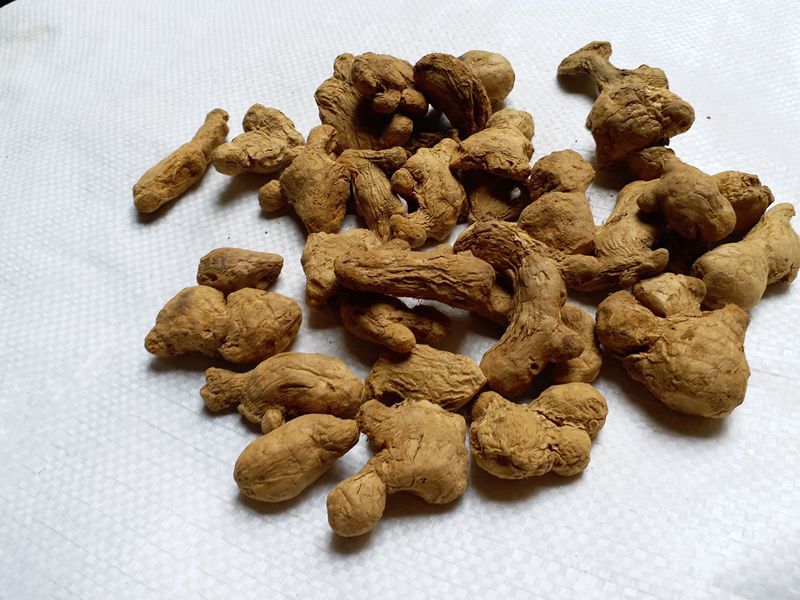 批发大货 炮姜 干姜 干姜粉 专营各种中药材粉剂 面膜粉 兽用粉