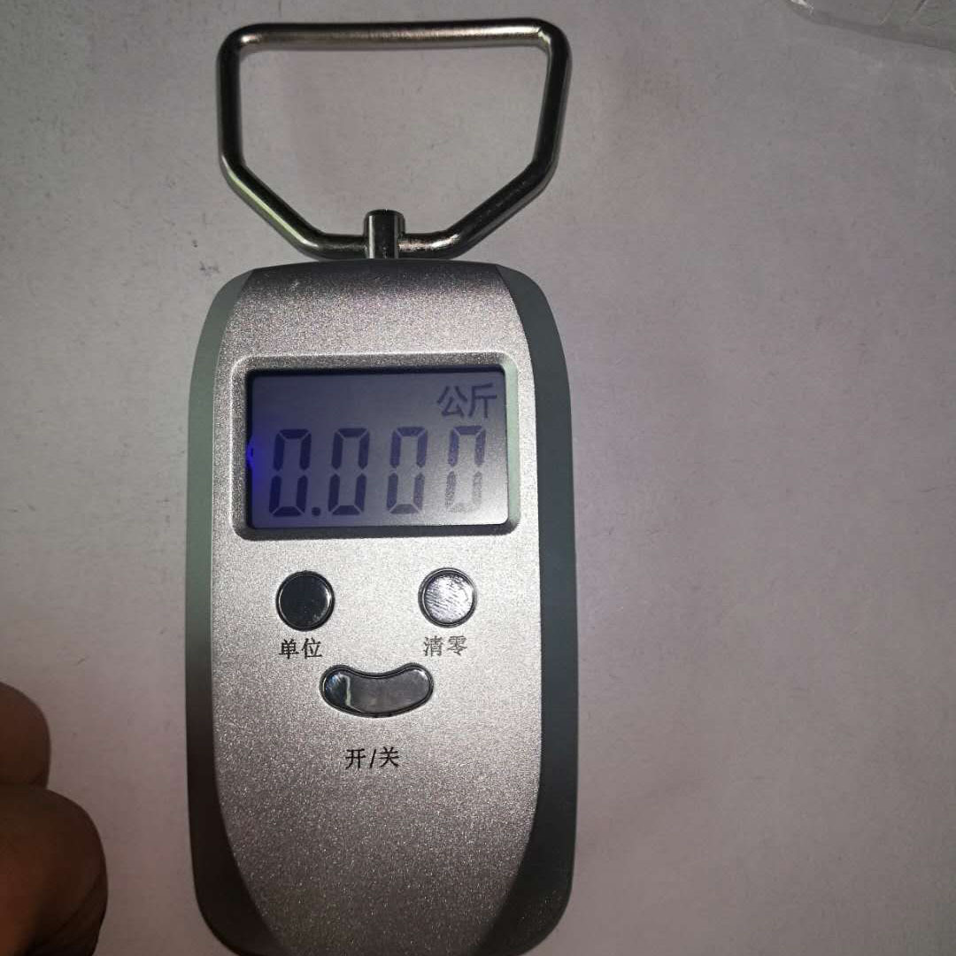 电子秤拉力手提电子称拉力称钓鱼电子称渔具一件代发