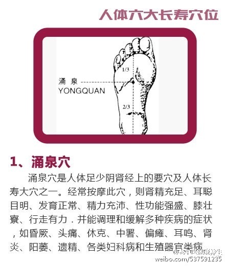 人体六大长寿穴位