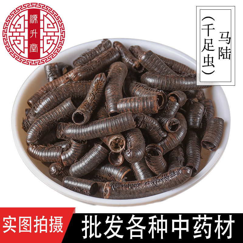 中药材昆虫类九香虫 千钟药材打屁虫臭板虫清水小九香虫量大从优