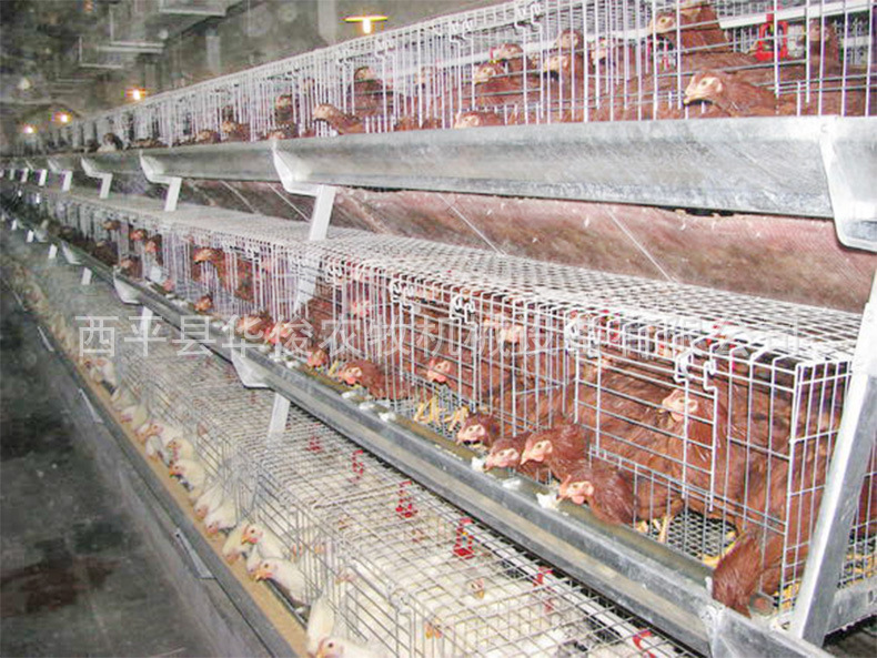 鸡笼 阶梯式蛋鸡笼 全自动蛋鸡笼 可定制阶梯式养殖设备 厂家价格