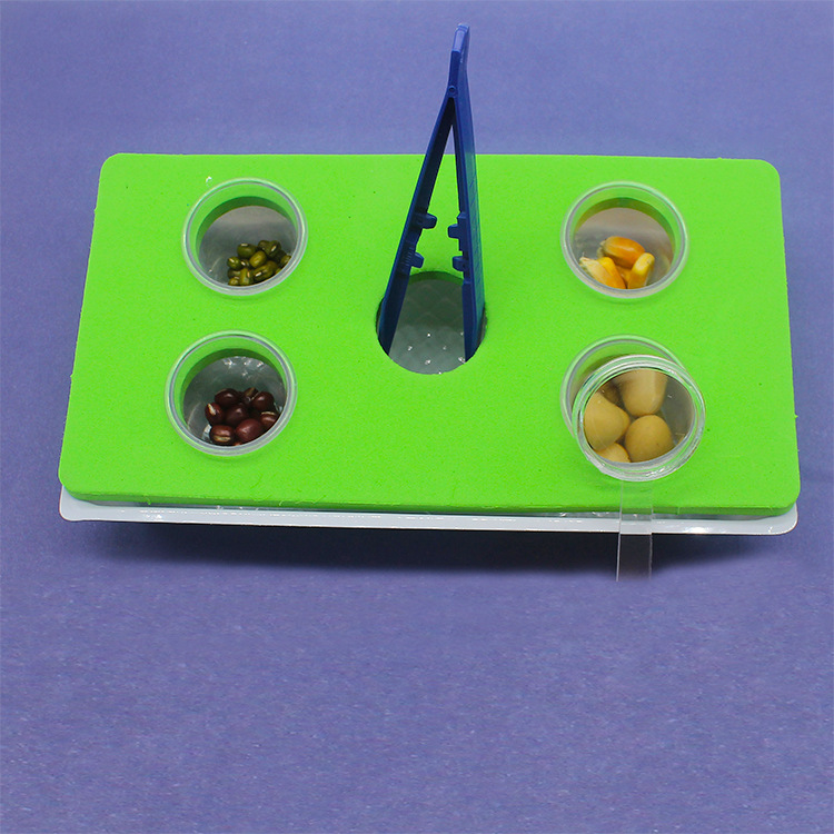 小学生种子发芽科普实验器材科技小制作diy少年宫培训实验器