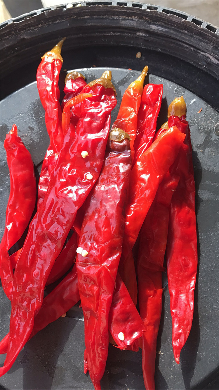 四川泡红椒泡老二荆条60斤/桶泡椒红辣椒中餐火锅调味料泡椒批发