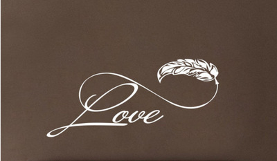 亚马逊畅销款 英文love羽毛装饰 家庭背景墙装饰精雕墙贴一件起批