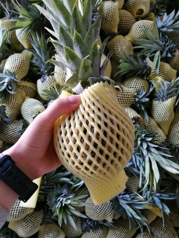 广西种植泰国香水小菠萝新鲜热带水果甜脆多汁菠萝凤梨特产包邮