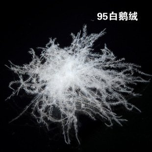 95白鹅绒美标绒朵大蓬松度好保暖力强清洁度高无异味厂家羽绒批发