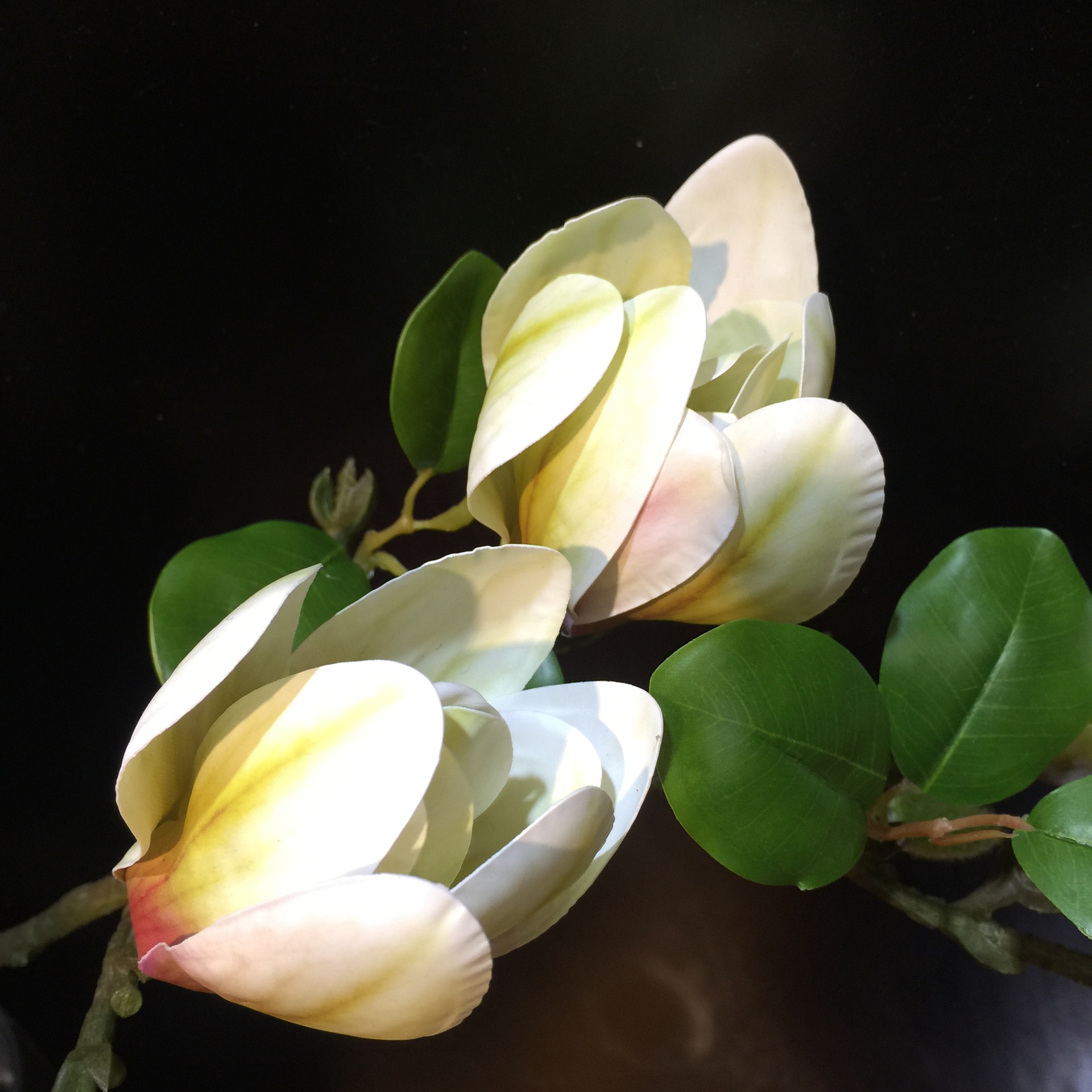 仿真花 手感 4头小玉兰 胶片3d 人造花 花艺制作 家居装饰