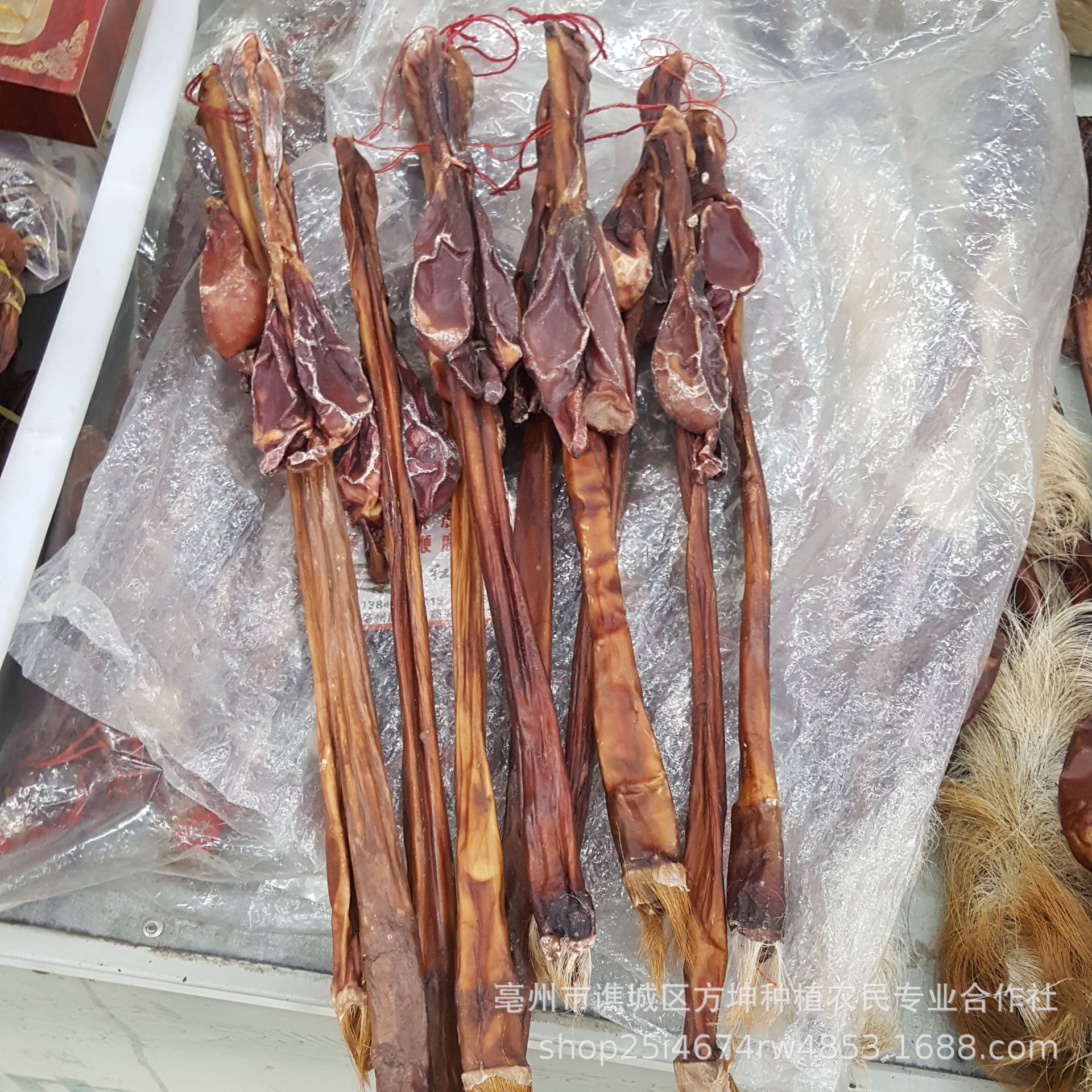 现货批发牛鞭 大货中药材泡酒料牛鞭干货 泡酒料牛鞭干货滋补