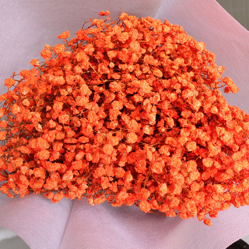 a级满天星天然干花鲜花真花风干植物干花满天星云南厂家批发200克