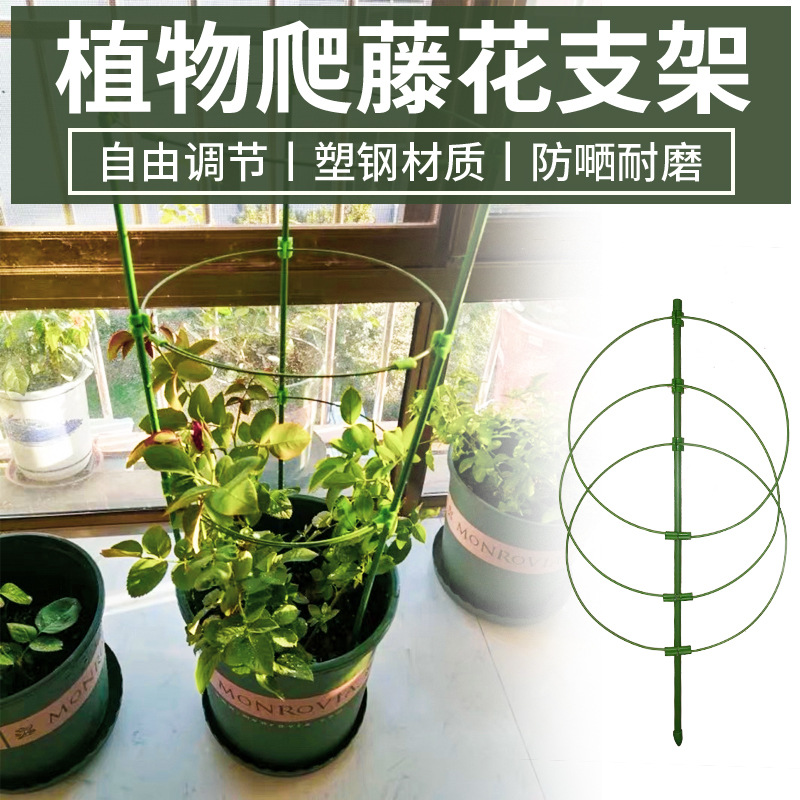园艺蔷薇月季爬藤架支柱铁线莲牵牛花卉植物花盆固定支架花支架子