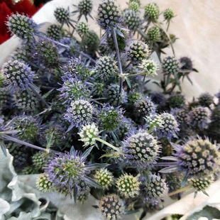 【情人果】配花配叶 进口花材 云南昆明鲜花批发