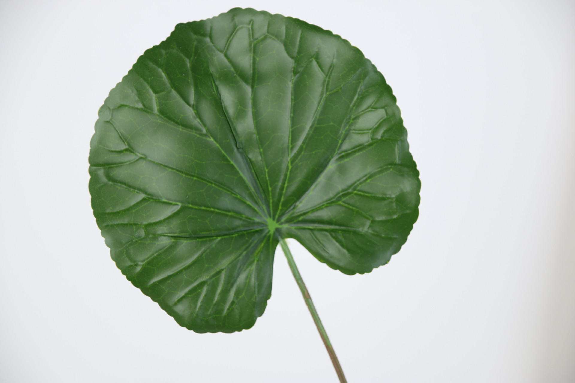 胶片睡莲叶仿真植物室内居家婚庆装饰绿植插花配材仿真叶子批发