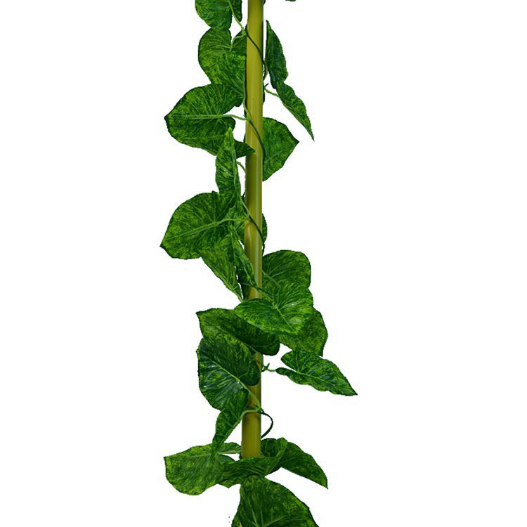 照屏工艺品厂家批发仿真植物全叶藤条2米3居家装饰绿萝叶常青藤条