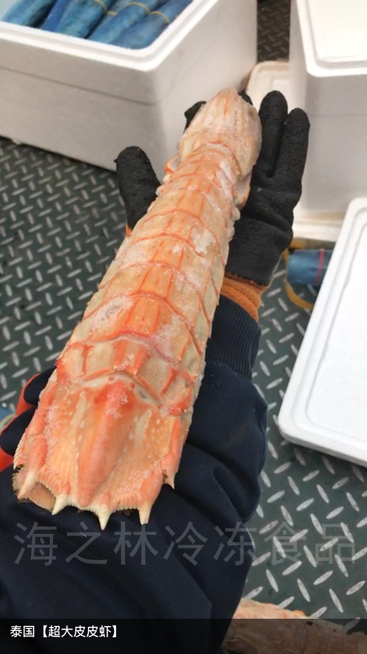 大濑尿虾活煮熟冻皮皮虾 大虾大虾姑富贵虾4-8两规格