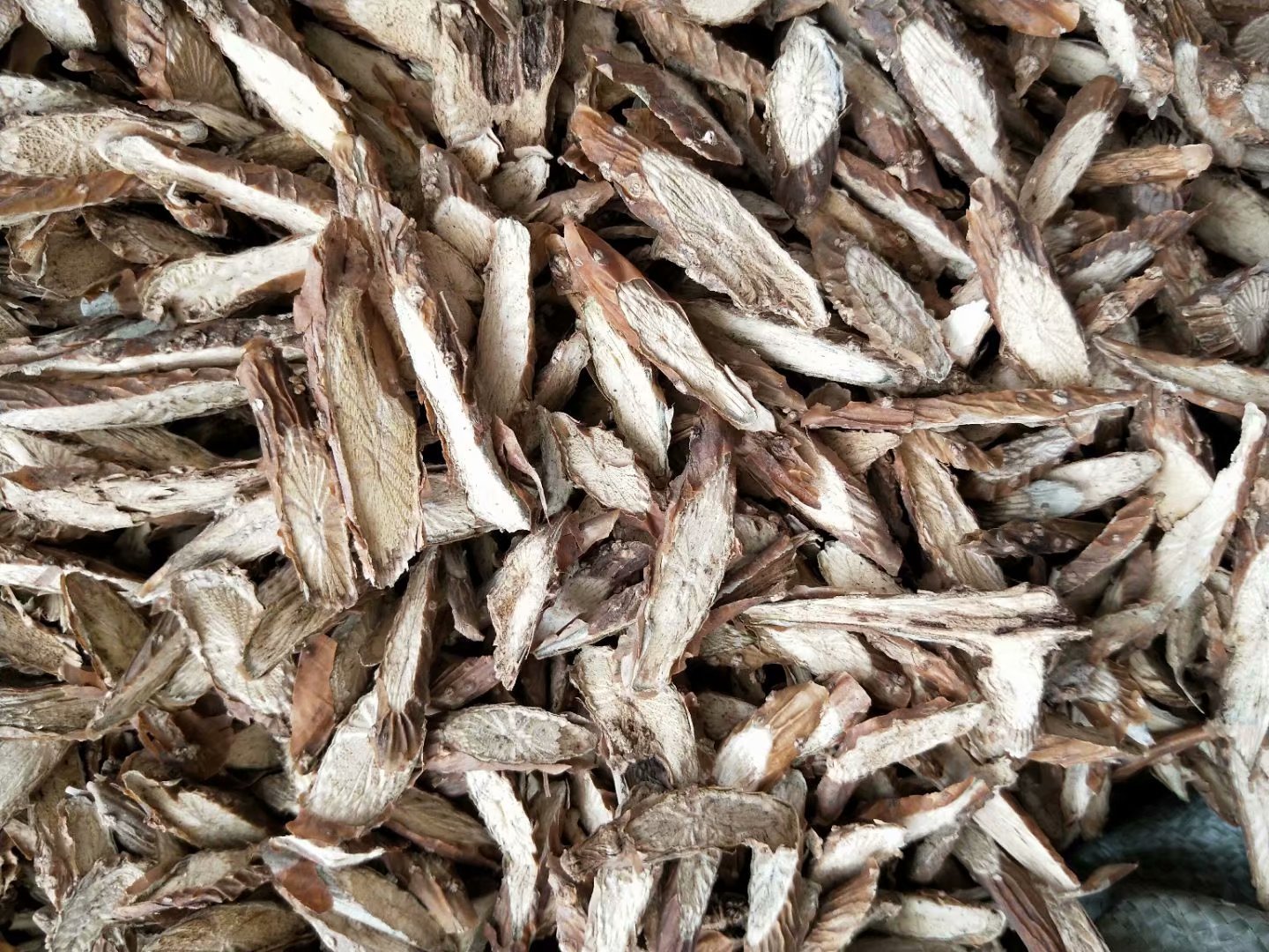 【伸筋藤】-伸筋藤厂家,品牌,图片,热帖-阿里巴巴