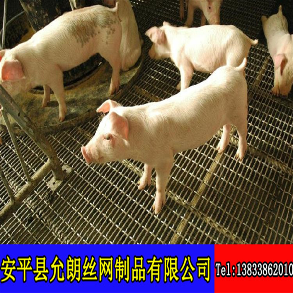 猪床铁丝网 养猪漏粪网 猪床用轧花网厂家直供