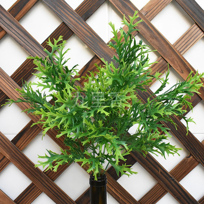 绿色植物黄精草手感仿真草植物墙配材仿真鹿角草水草塑料