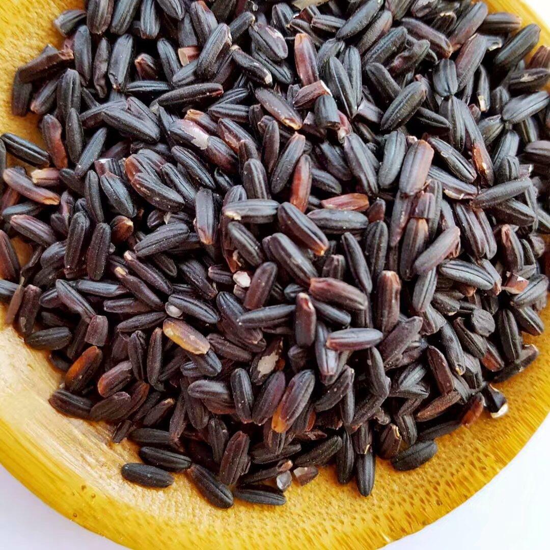 圆粒血糯米,糯黑米,食品厂用,粽子用,阴米用黑糯米鸭血糯米