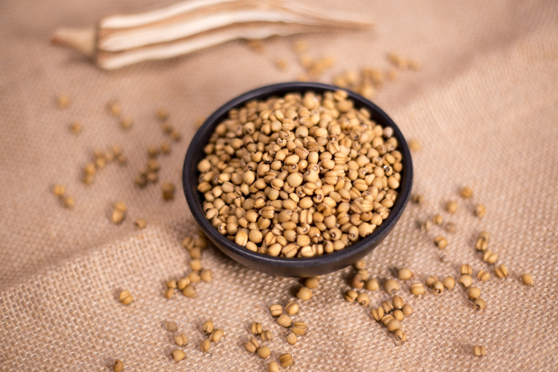 供应红薏仁米浦城红薏米仁优质薏苡仁