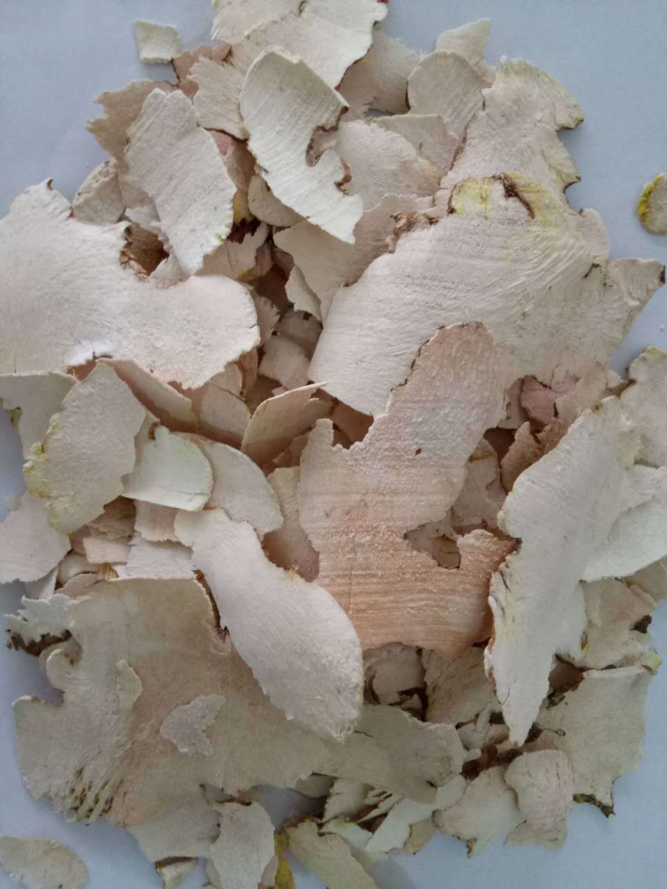 包邮 飒枫中药材 白土茯苓 冷饭团,硬饭头 大货批发 量大从优