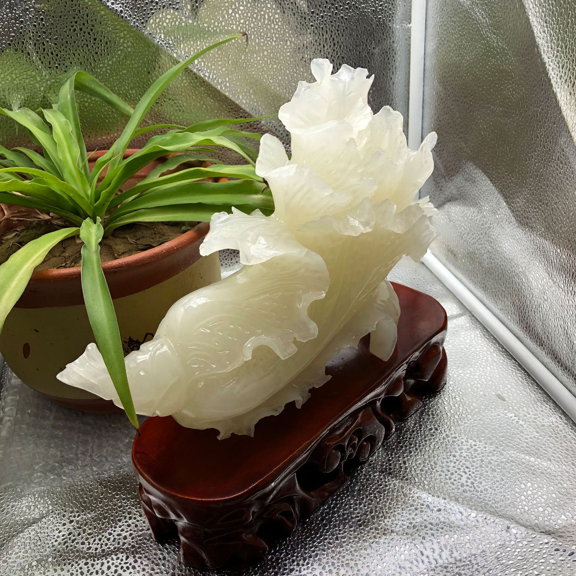 玉石阿富汗青白玉蚕丝玉白菜摆件家居摆设开业送礼