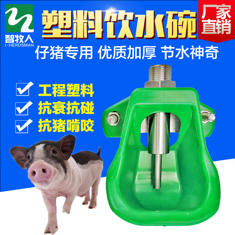 仔猪饮水碗小猪塑料喝水碗水嘴 猪用自动饮水器仔猪碗式饮水器