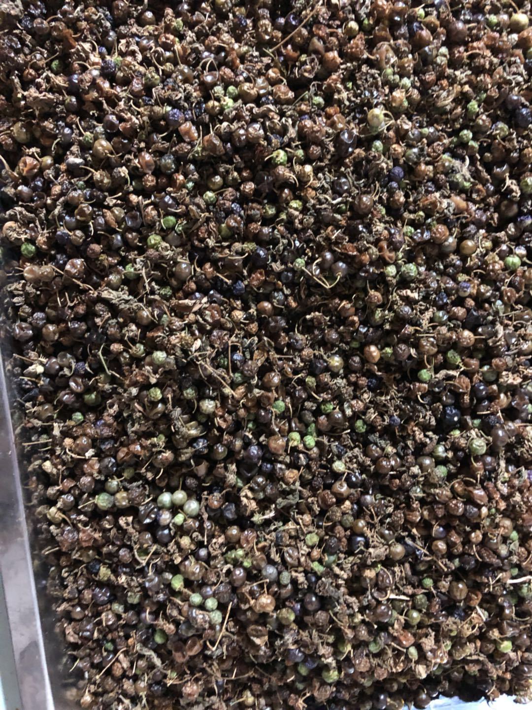 野生中药材 龙葵 龙葵子籽 龙葵果