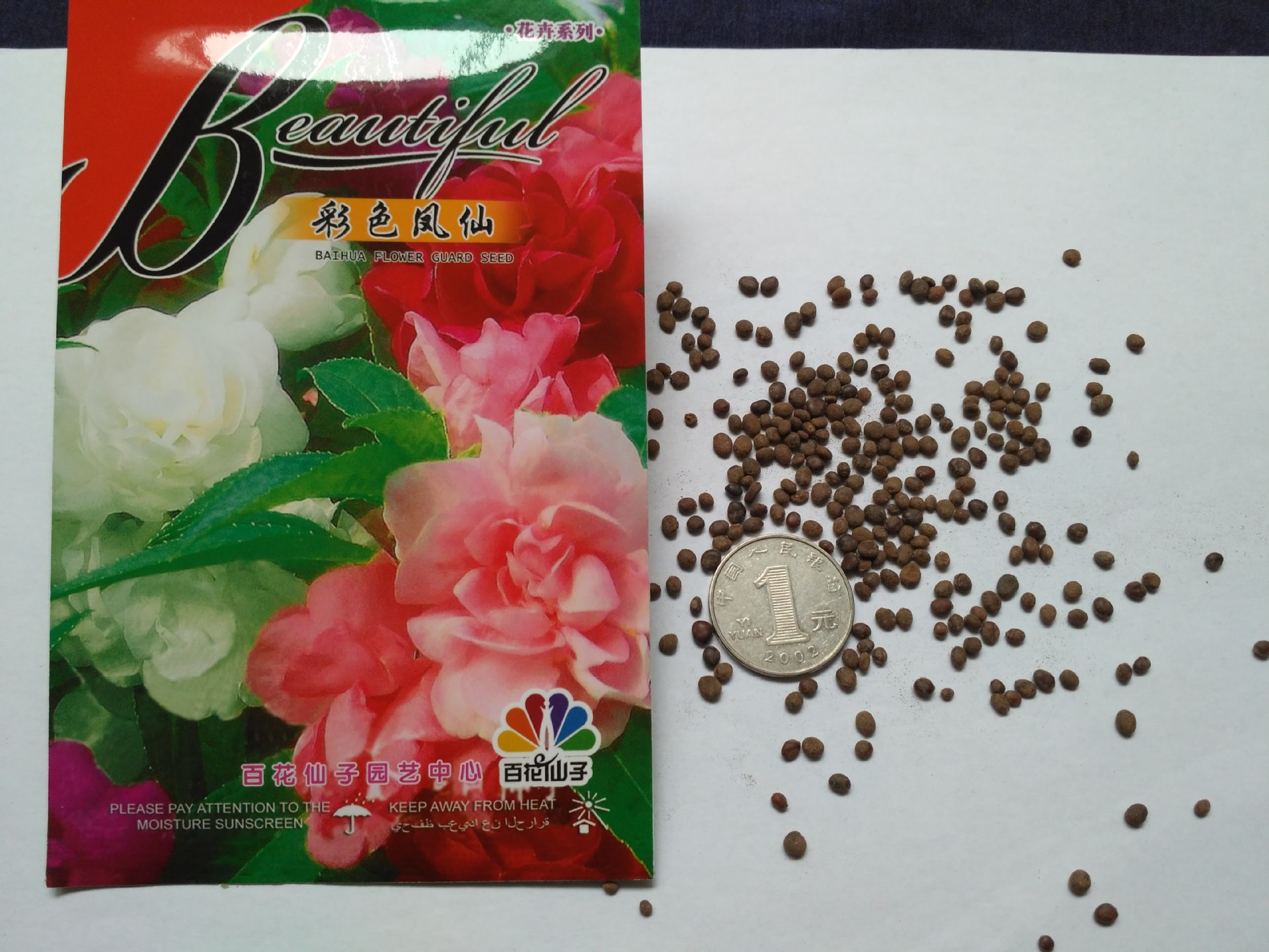 厂家供应 彩色凤仙花种子现货批发 盆栽花种子 四季现货花种