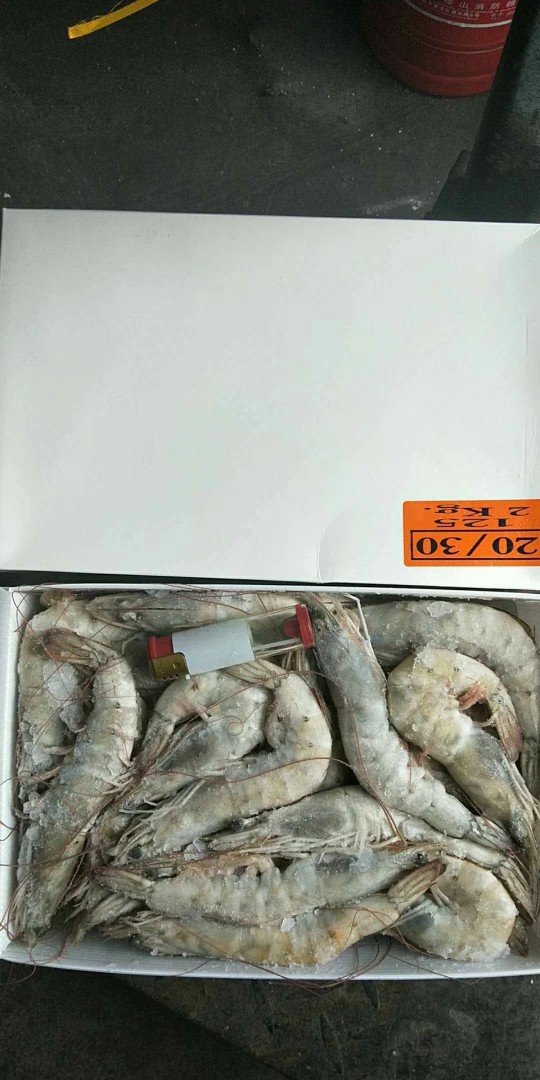 批发供应冷冻厄瓜多尔南美白对虾盐冻桑塔多尔虾白盒
