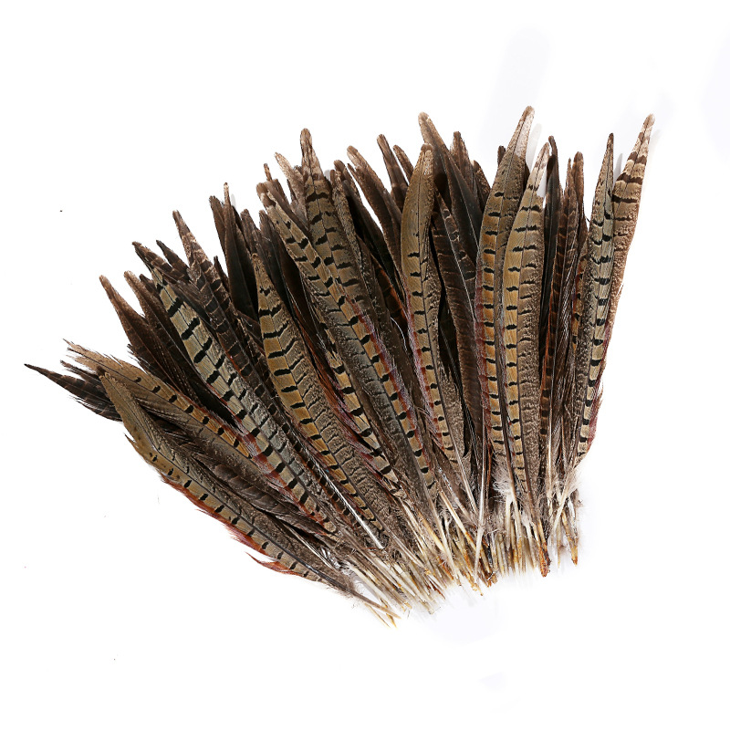 厂家批发现货供应彩色山鸡毛25-30cm野禽羽毛波西米亚风头饰配件
