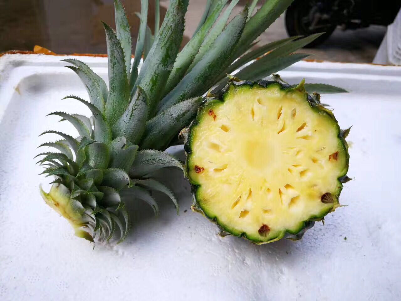 5斤送3斤泰国品种迷你香水小菠萝,送刀直接削皮吃也可以一件代发