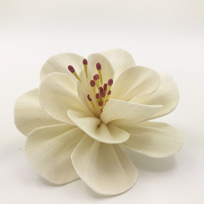 8厘米卷边石榴花 手工制作工艺花 白色装饰饰品 鲜花花艺制品