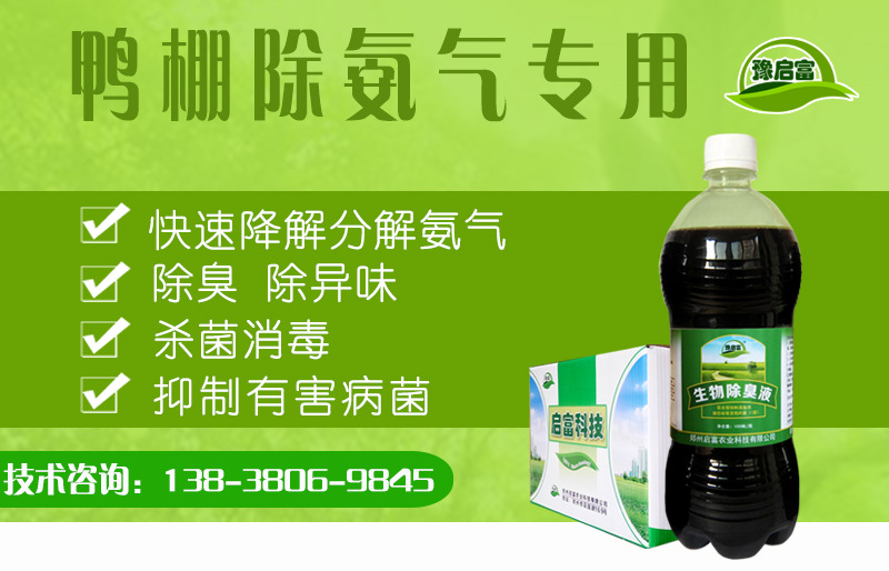 鸭棚除氨气益生菌
