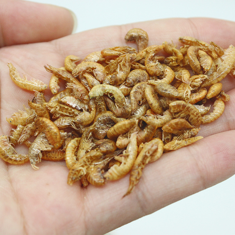 高蛋白补钙龟饲料通用龟粮淡水钩虾无盐小虾干巴西龟增色食物勾虾