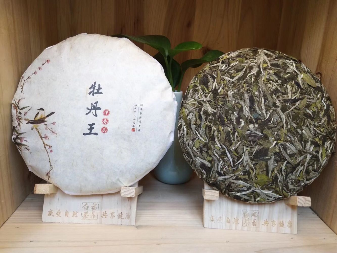 福建白茶2017年早春茶花香牡丹王高山生态白牡丹茶饼300g包邮