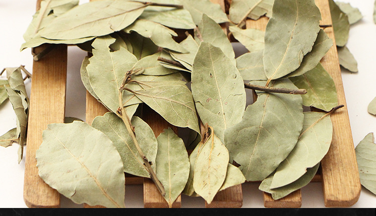 香叶500g 月桂叶 卤料火锅底料散装 量大批发