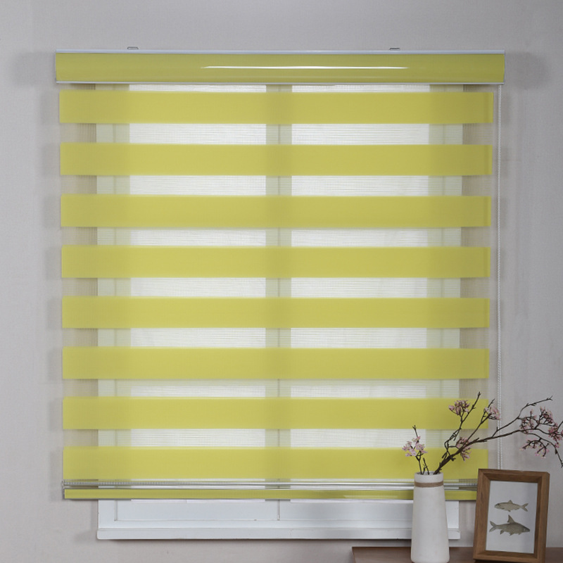 Foreign Trade Export Shutter Office Curtain Shading Lifting Louver Curtain Soft Gauze Curtain Double Roller Blind